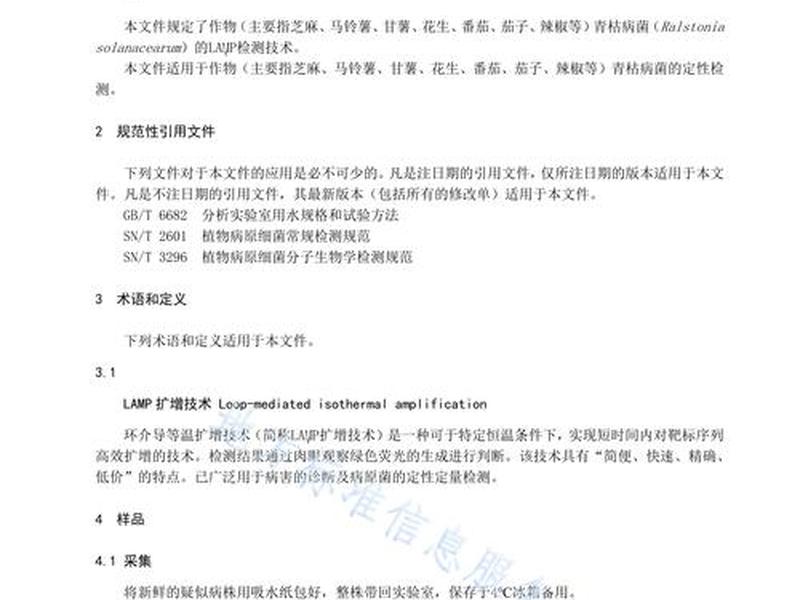 lamp检测方法是什么意思；lamp检测技术是什么