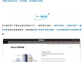 国外独立网站如何推广（国外独立网站如何推广产品）