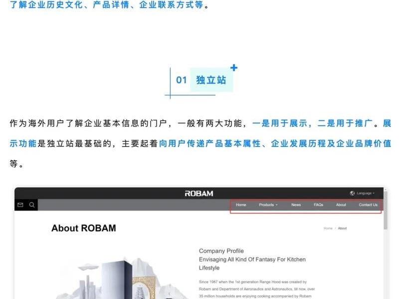 国外独立网站如何推广（国外独立网站如何推广产品）