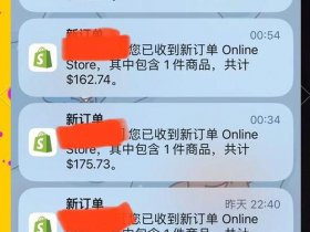 shopify独立站是什么意思、shopify和独立站有什么区别