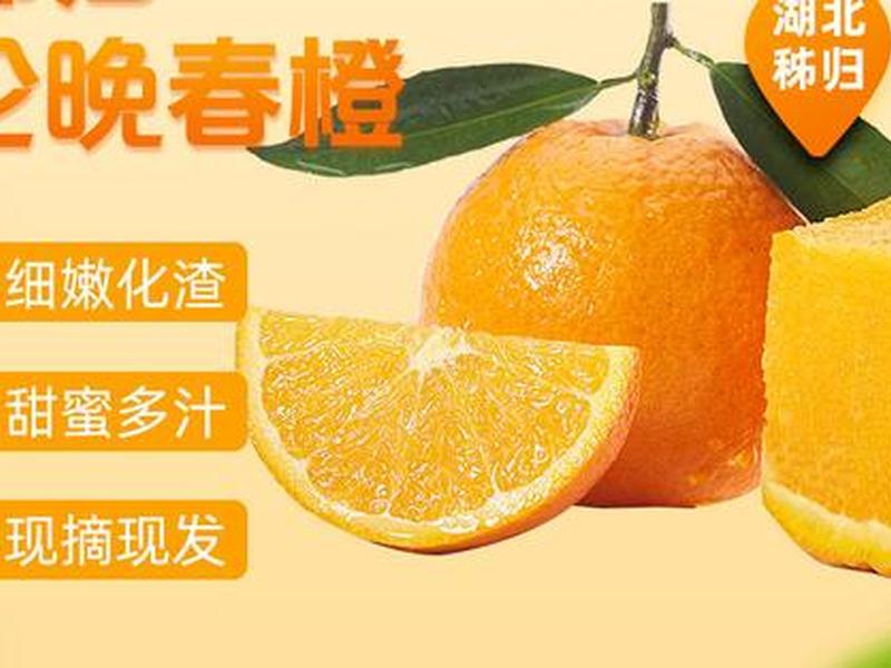 橙子建站三分钟搭建落地项目;橙子建站怎么样 橙子建站三分钟搭建落地项目;橙子建站怎么样