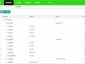 layui 建站教程 - layuiadmin 教程