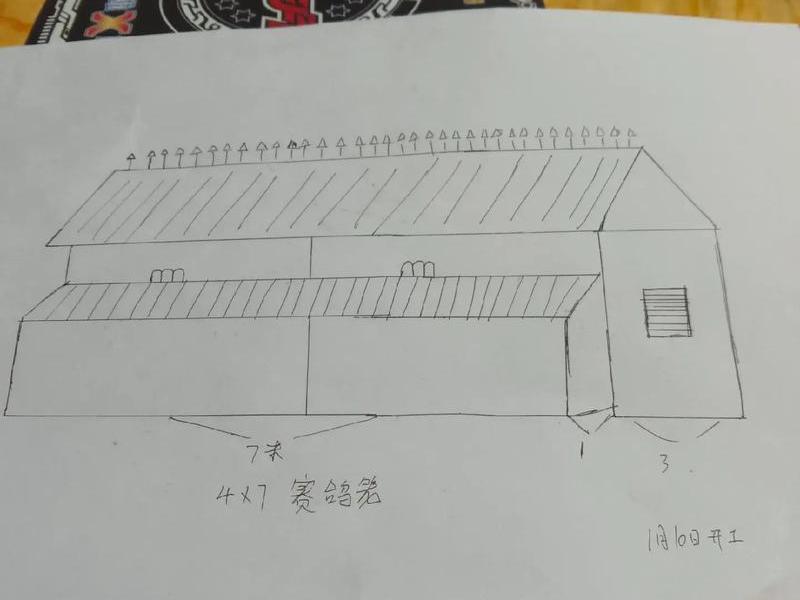 鸽棚怎么建站架视频教程大全;鸽棚怎么建站架视频教程大全图片 鸽棚怎么建站架视频教程大全;鸽棚怎么建站架视频教程大全图片