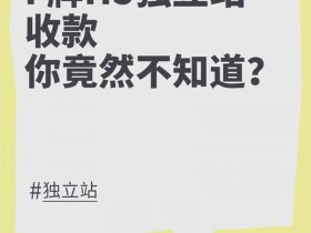仿牌独立站搭建风险及应对方法、独立站仿牌骗局