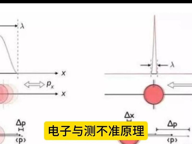 lamp检测仪器;lamp快速检测原理 lamp检测仪器;lamp快速检测原理
