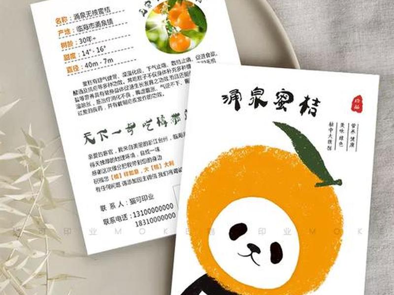 橙子建站卡片制作教程 橙子卡片制作方法 橙子建站卡片制作教程 橙子卡片制作方法