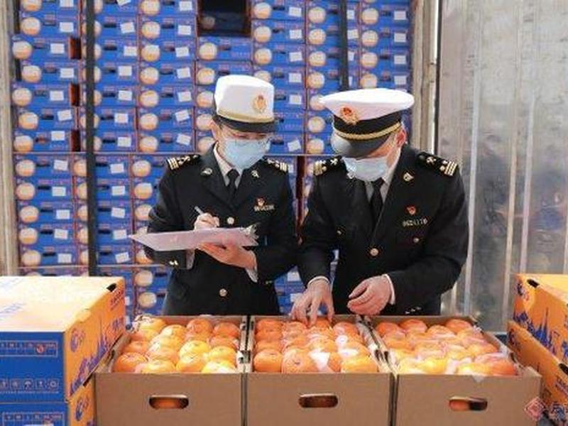 大理外贸出口,大理出口贸易 大理外贸出口,大理出口贸易