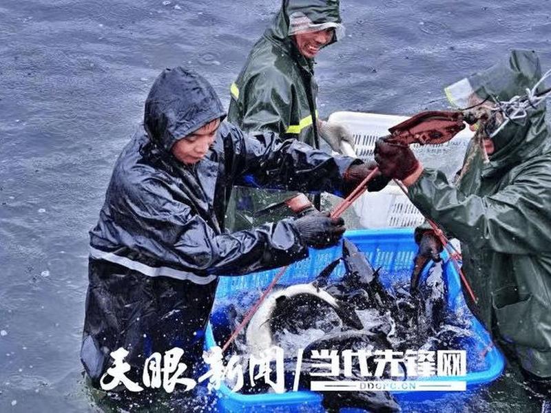 贵州外贸产品,贵州外贸产品有哪些 贵州外贸产品,贵州外贸产品有哪些