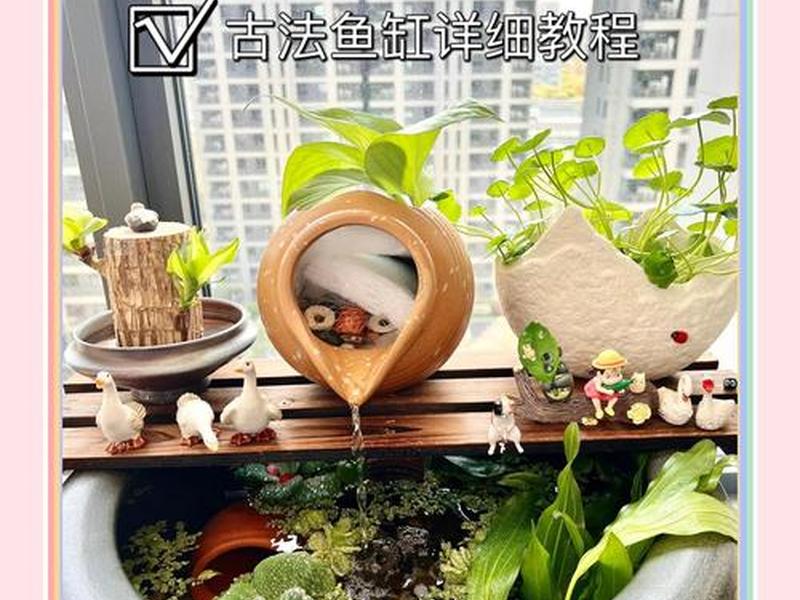 池塘搭建教程 - 池塘搭建教程图片 池塘搭建教程 - 池塘搭建教程图片