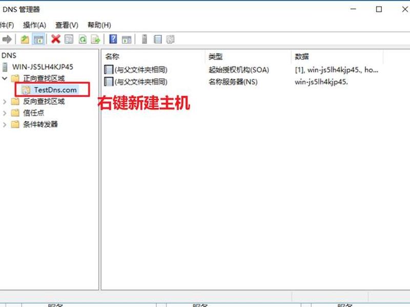 windows 2008服务器（windows server 2008服务器架设与配置实战指南）