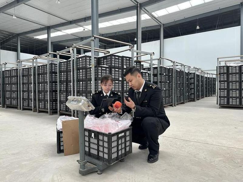 甘肃有什么产品可以做外贸;甘肃有什么产品可以做外贸生意 甘肃有什么产品可以做外贸;甘肃有什么产品可以做外贸生意