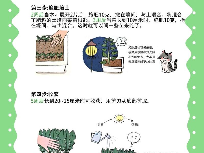 菠菜种植起垄技巧 菠菜种植起垄技巧图解 菠菜种植起垄技巧 菠菜种植起垄技巧图解