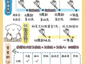 保姆级疫苗教程（疫苗接种教程）