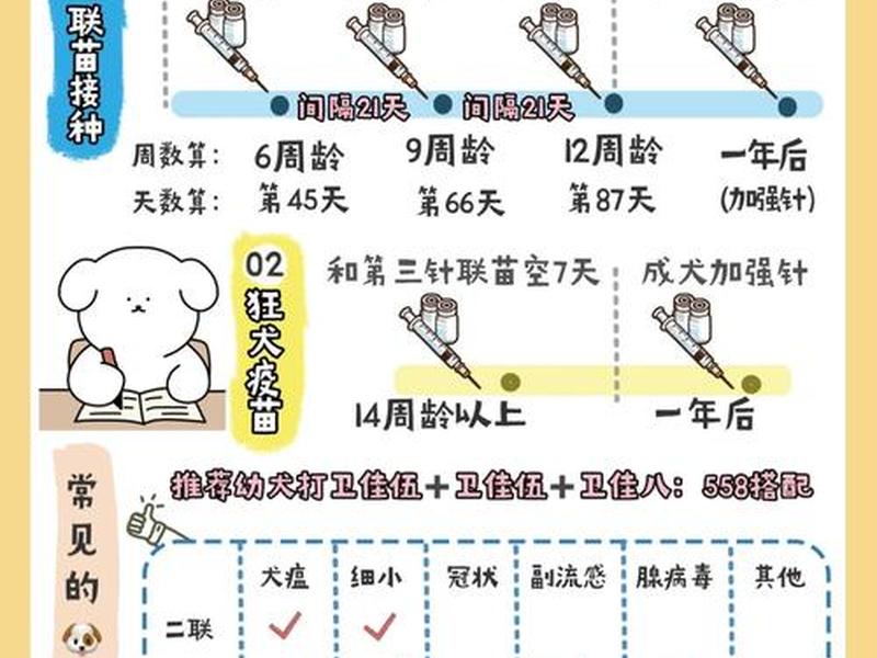 保姆级疫苗教程(疫苗接种教程) 保姆级疫苗教程(疫苗接种教程)
