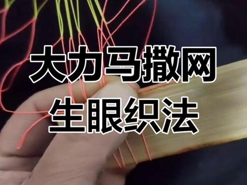 大网的编织视频教程(大网的编织视频教程图解) 大网的编织视频教程(大网的编织视频教程图解)