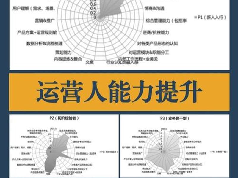 彩虹项目运营技巧 彩虹项目运营技巧和方法