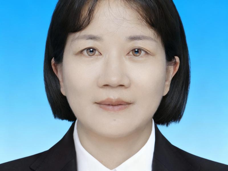 动易网络科技有限公司、动易网络科技有限公司李琳君 动易网络科技有限公司、动易网络科技有限公司李琳君
