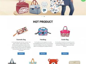 ueeshop独立站营销方案；独立站内容营销
