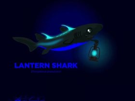 shark system