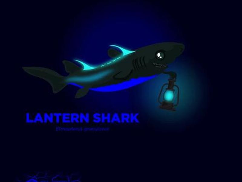 shark system shark system