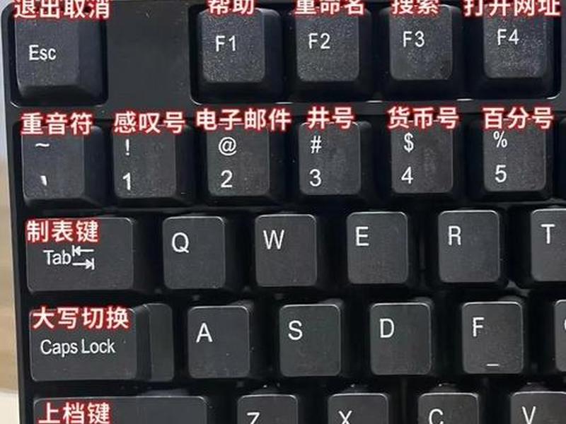 初学者键盘图片打印a4 初学者键盘图片打印a4纸 初学者键盘图片打印a4 初学者键盘图片打印a4纸