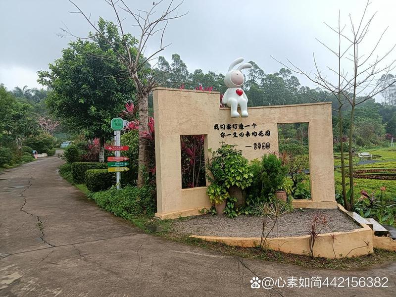 花生壳网站搭建，花生壳搭建个人网站