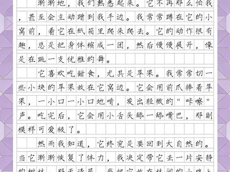 刺猬窝搭建教程,刺猬搭窝的过程 刺猬窝搭建教程,刺猬搭窝的过程