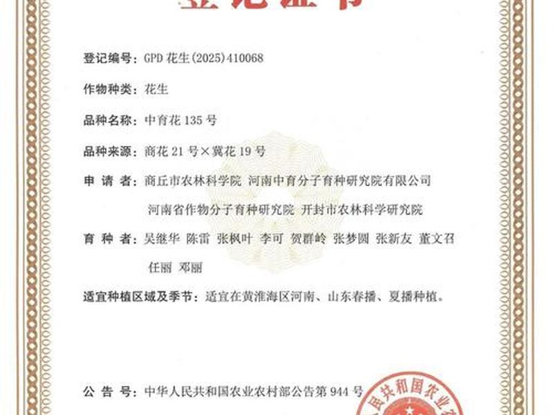 花生壳 ssl,花生壳 ssl证书 花生壳 ssl,花生壳 ssl证书