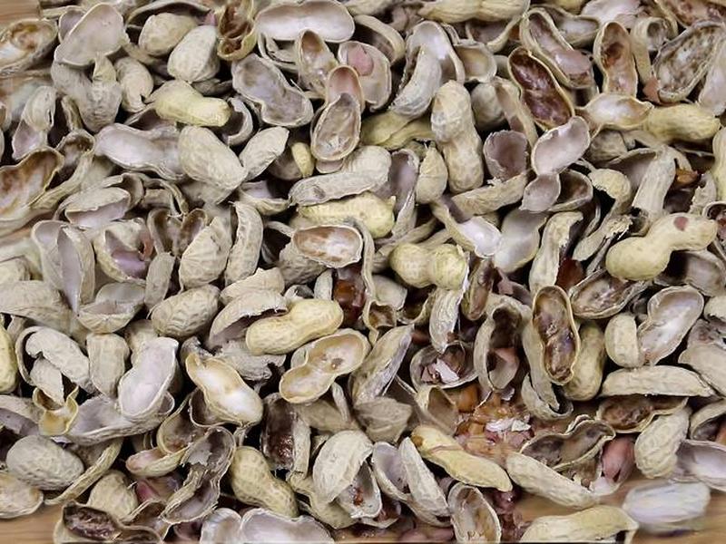 花生壳如何建设网站 - 如何使用花生壳发布网站