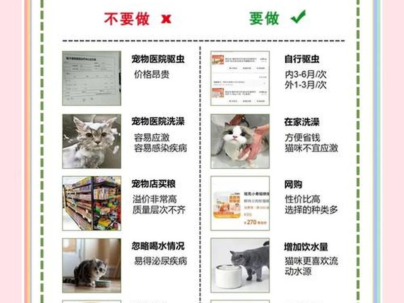 建造猫窝需要注意哪些要点;建造猫窝需要注意哪些要点呢 建造猫窝需要注意哪些要点;建造猫窝需要注意哪些要点呢