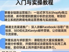 shopify自建站运营、shopify独立站运营
