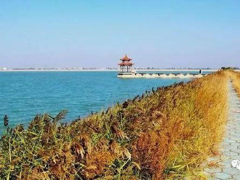 博兴建高铁吗最新消息，博兴高铁站会建在哪里