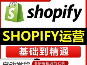 shopify独立站培训 独立站shopify培训教学