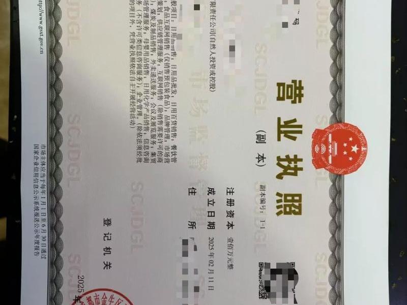 成都企业登记全程电子化网站服务 - 成都企业登记注册服务 成都企业登记全程电子化网站服务 - 成都企业登记注册服务