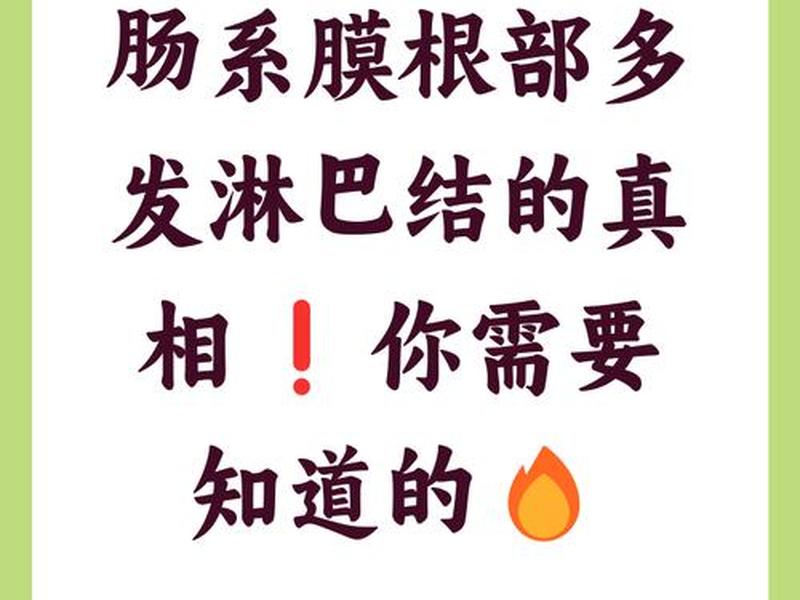 初学者检查猪肠系膜淋巴结时要首先找到什么肠；怎么检查肠系膜淋巴结肿大