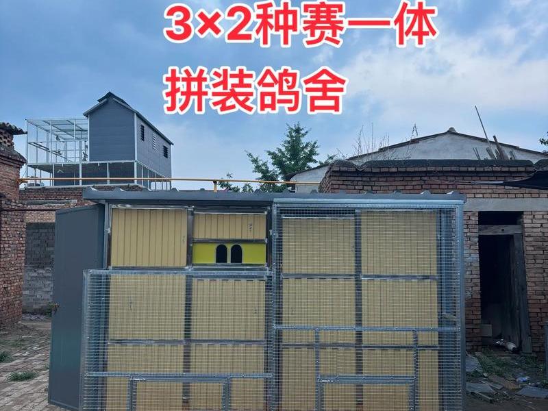 鸽棚怎么搭建才能引来鸽子 鸽棚怎么搭建才能引来鸽子呢 鸽棚怎么搭建才能引来鸽子 鸽棚怎么搭建才能引来鸽子呢