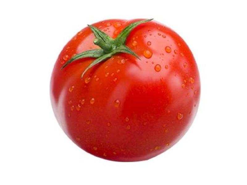 tomato创作背景(to autumn创作背景) tomato创作背景(to autumn创作背景)