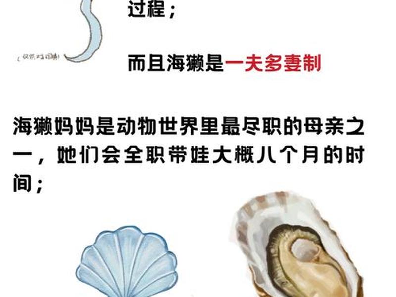 海纳步骤、海纳()() 海纳步骤、海纳()()