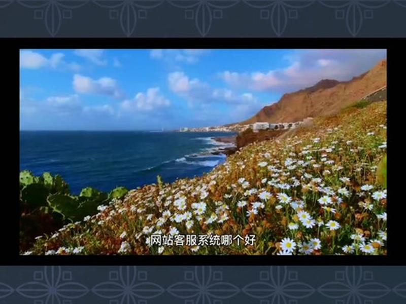 抖音橙子建站教程，抖音 橙子建站
