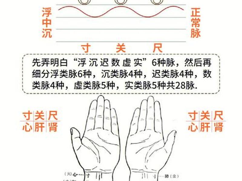 聚脉 聚脉