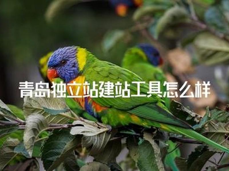 佛山禅城独立站建站培训哪家好（佛山建站资讯）