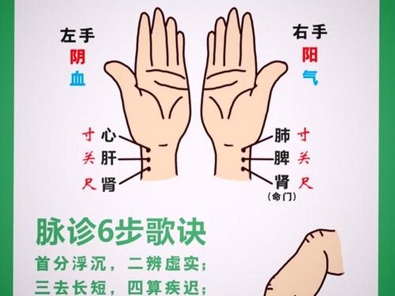 聚脉 聚脉