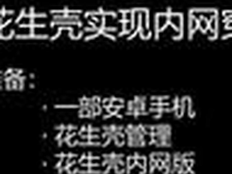 花生壳内网交换技术，内网 花生壳