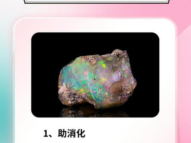 安途站（安途站长网蛋白石）