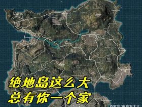 吃鸡怎么建立战队教程（吃鸡怎么建立战队教程手机版）