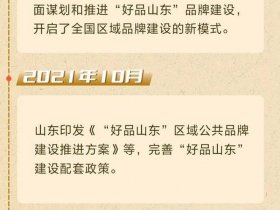 好品山东运营方案 - 好品山东官网