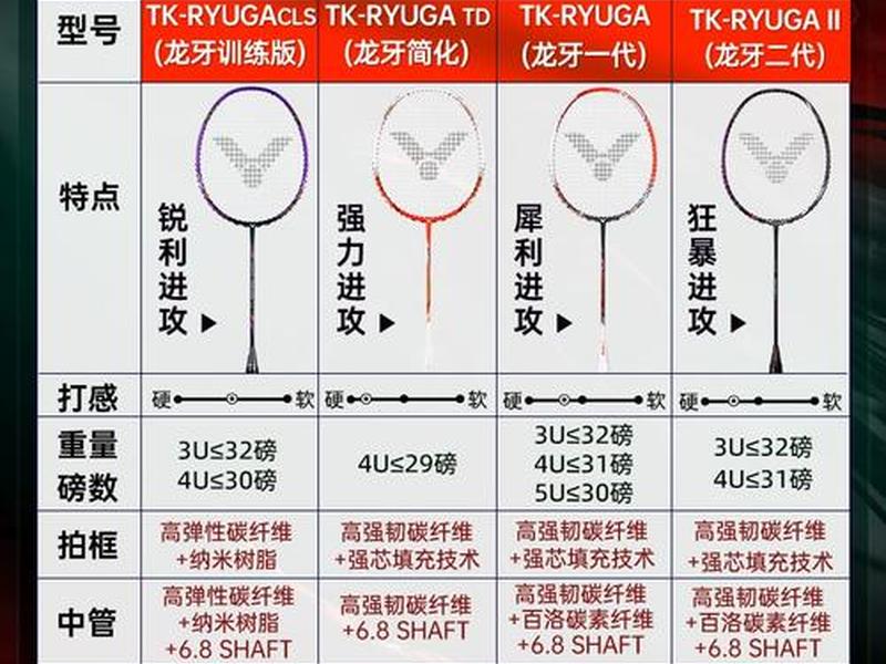TK搭建网络多少钱；tk搭建网络多少钱
