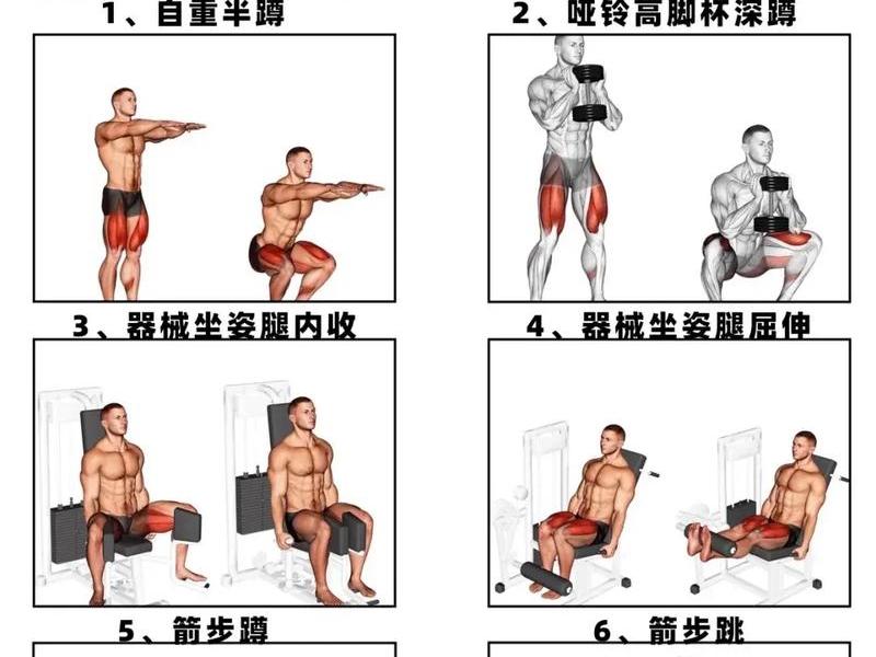 初学者健身房锻炼顺序;初学者健身房锻炼顺序是什么 初学者健身房锻炼顺序;初学者健身房锻炼顺序是什么