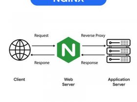 宝塔nginx建站教程 宝塔 apache nginx