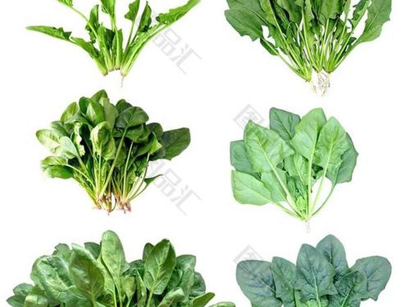 菠菜源代码出售、菠菜源代码出售最新版本更新内容 菠菜源代码出售、菠菜源代码出售最新版本更新内容